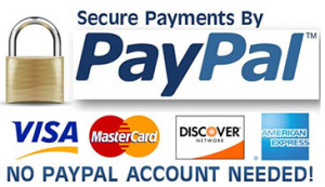 Paypal master card, American express, Mastercard