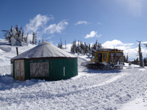 yurt