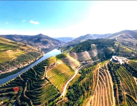 DOURO HOTEL ARIEL SHOT S